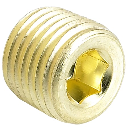 Newport Fasteners Socket Spoke Pipe Plug, 7/8 in Dia, Brass Plain, 100 PK 885659-100